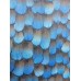 tapeta 10129-08